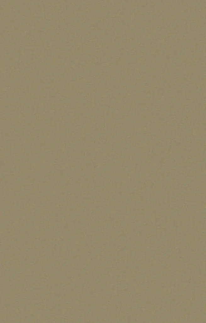 STN-9010 Star Dust PVC Laminates