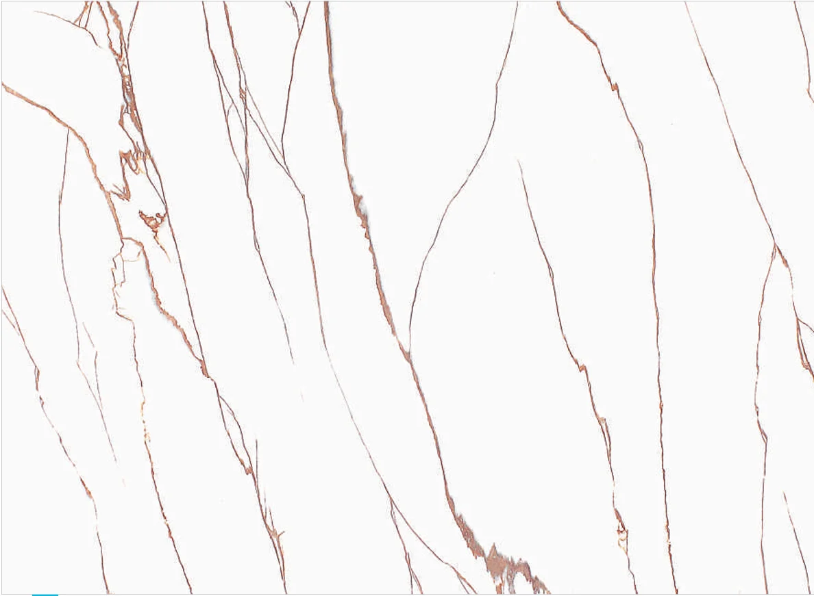 STN-4011 PVC Marble Sheets Manufacturer in India